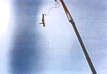 bungee10