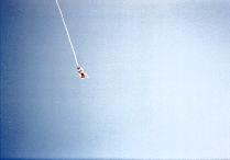 bungee9
